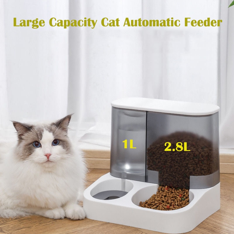 Pet Mealtime Marvel: Auto Feeder & Water Dispenser