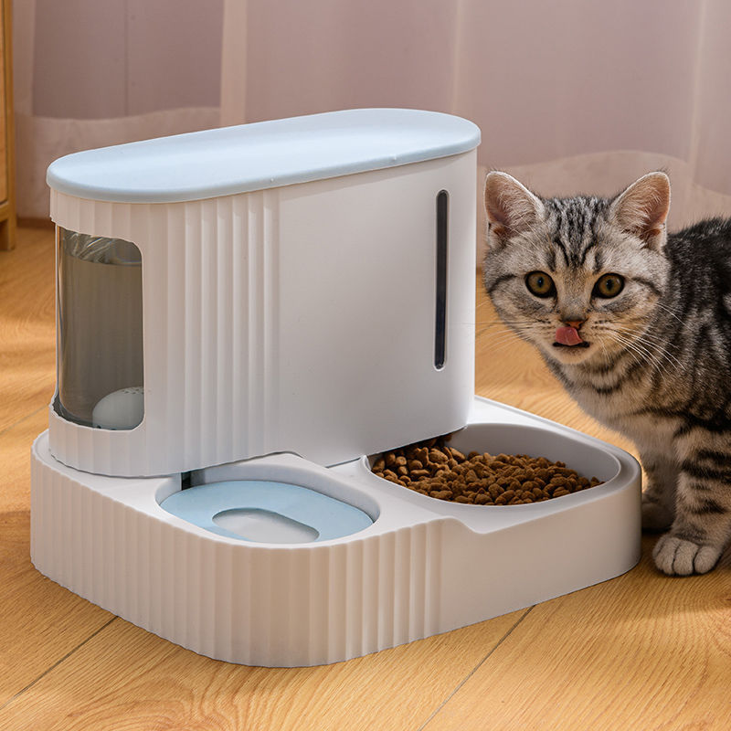 Pet Mealtime Marvel: Auto Feeder & Water Dispenser