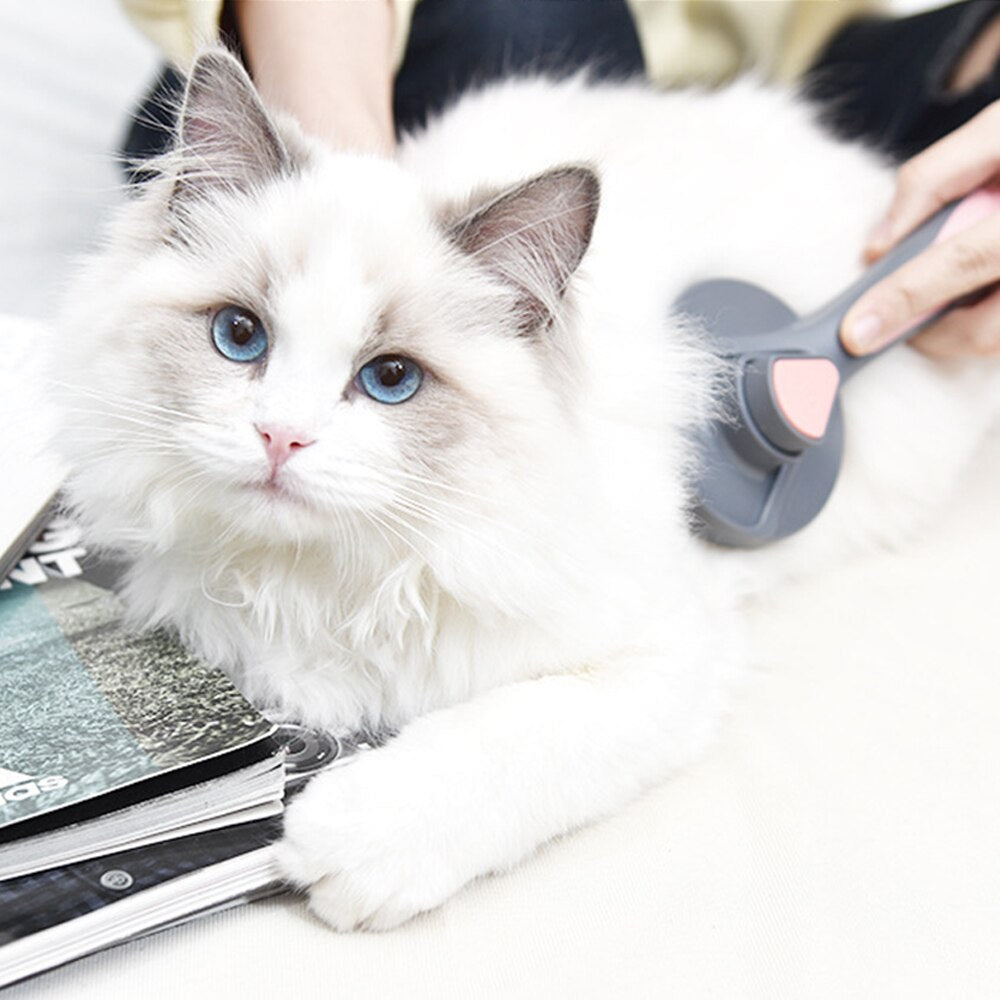 Grooming Simplified: Self-Cleaning Pet Comb