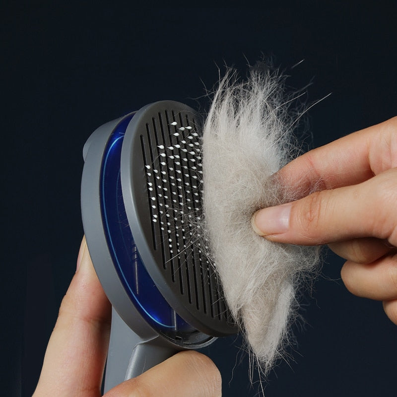 Pet Hair Care: Cat Comb Brush